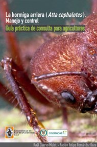 hormiga-arriera-atta-cephalotes